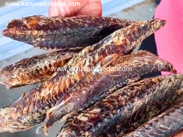 Health benefits of maldives tuna