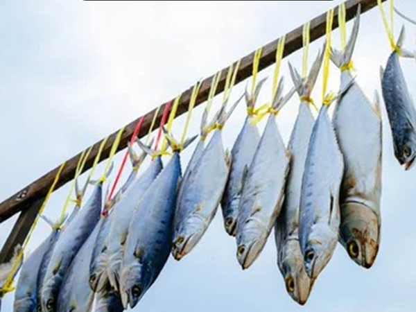 Most tastes dry fish in india