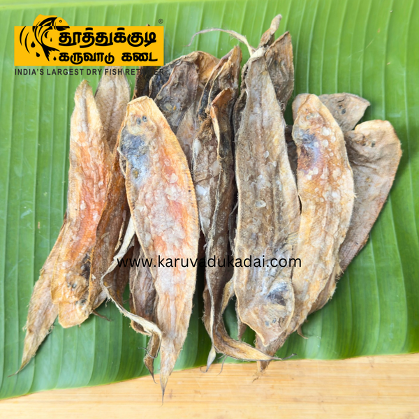 Halibut (அடல்பொடி)