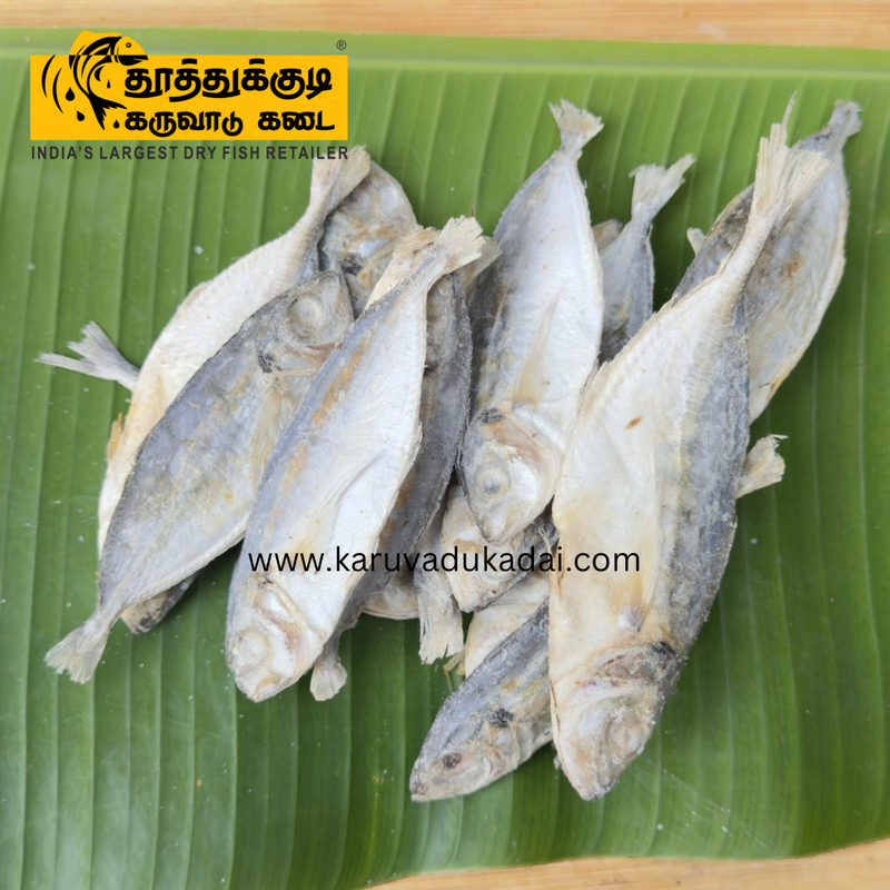 Razorbelly scad (ஓட்டம் பாறை)