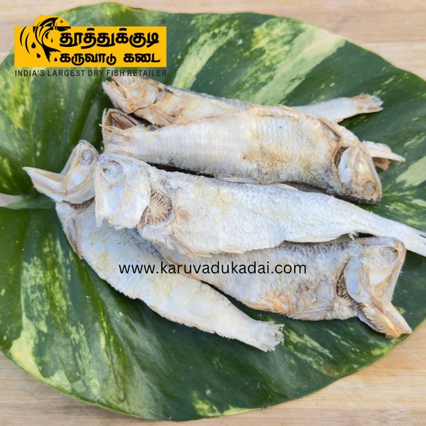 Milk Trevally (குதிப்பு)