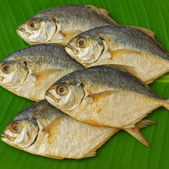 Generated pomfret dry fish product image on banana leaf