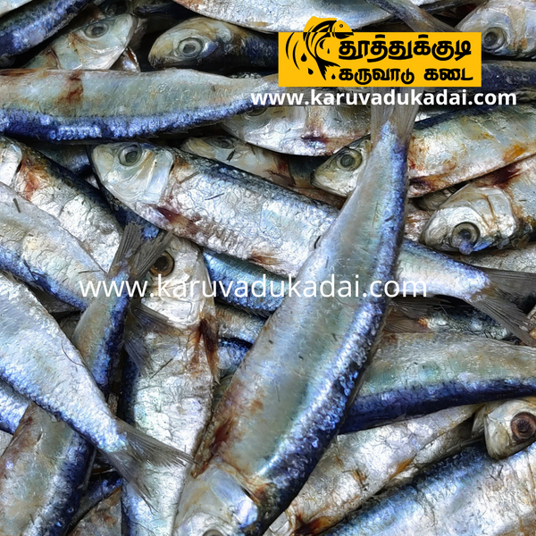 Sardines (சாளை கருவாடு)