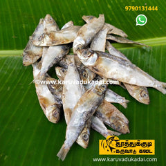 sardine (சூடை)