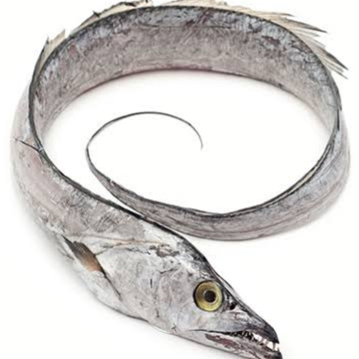 Ribbon fish (வாளை)