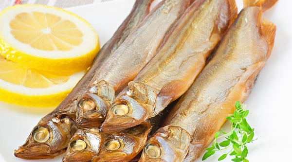 India's largest dry fish Retailer