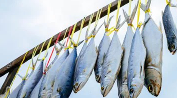 Most tastes dry fish in india