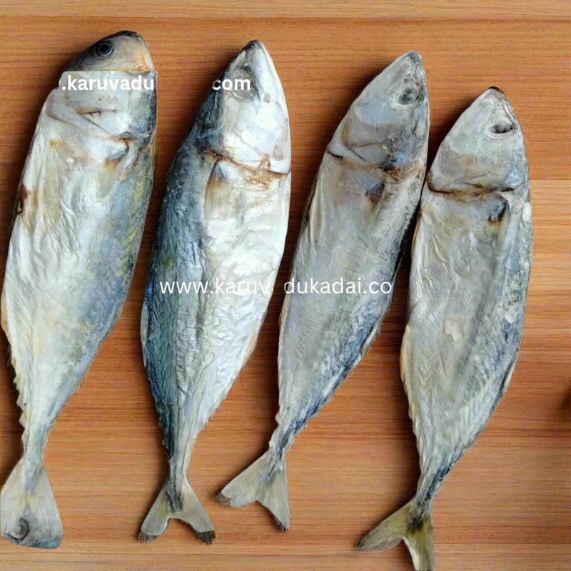 Mackerel (அயலை )