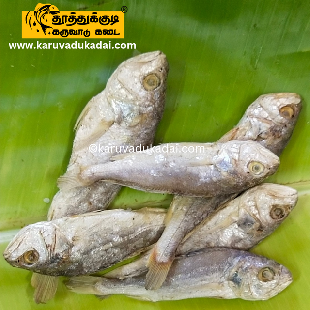 Cod fish (பண்ணா கருவாடு)