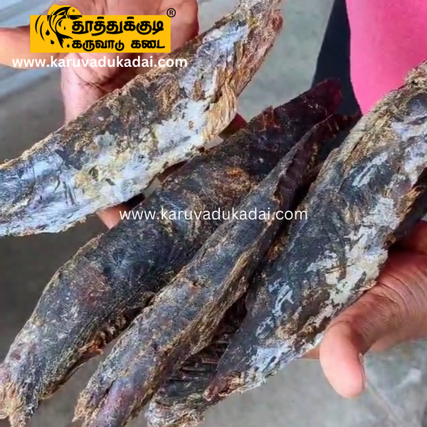 Maldives tuna (மாலதீவுமுழுமாசி )