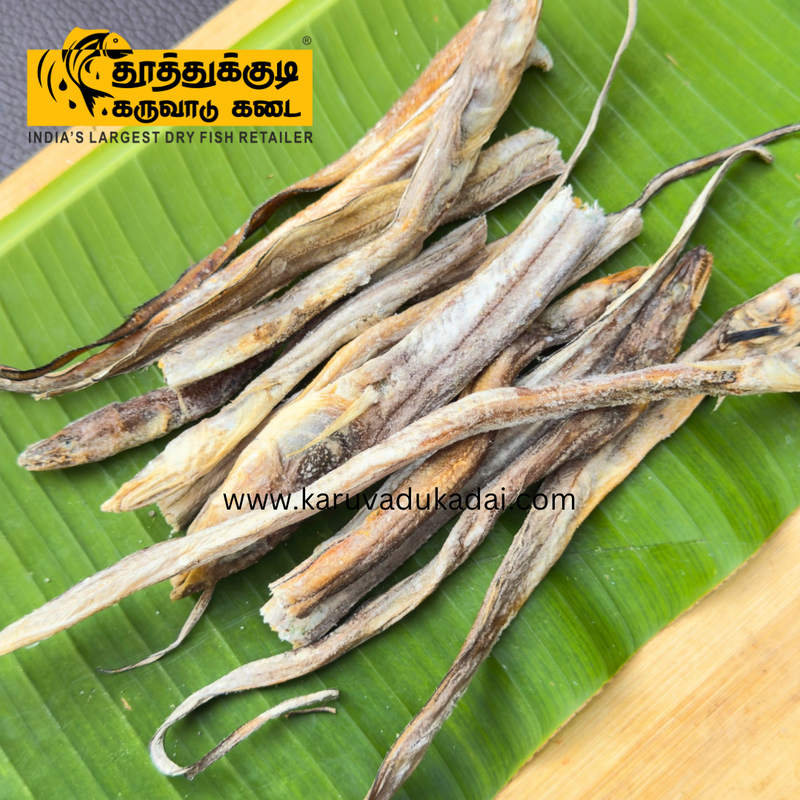 ஆரா மீன் (Niphon spinosus)