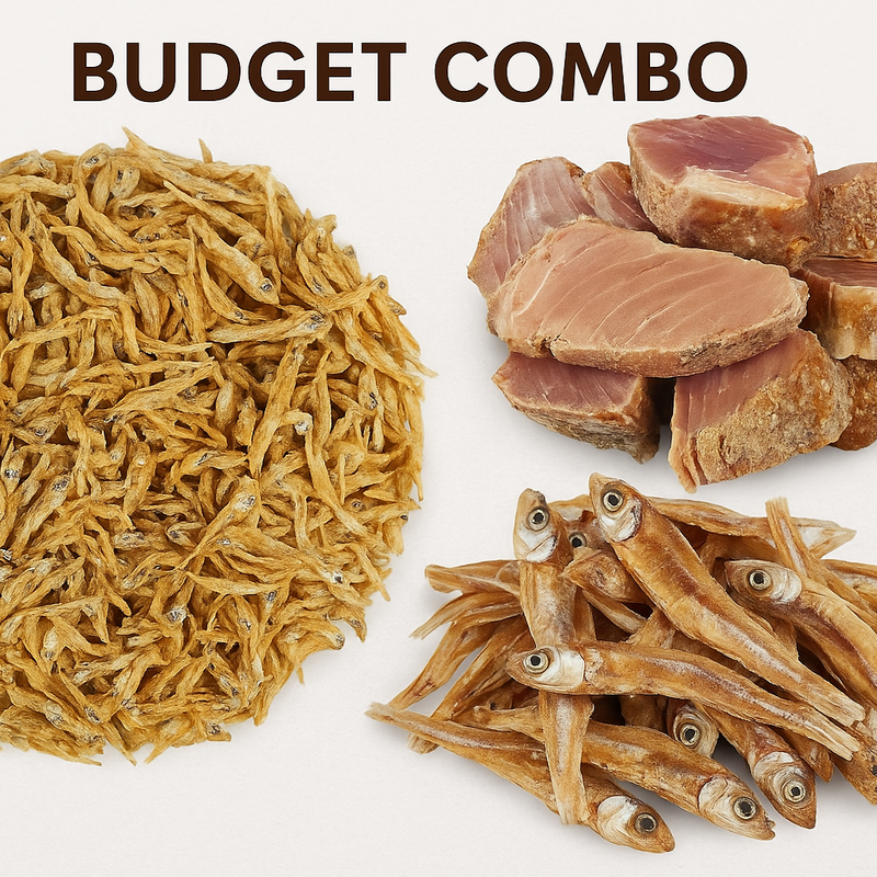 Budget Combo - Square Format