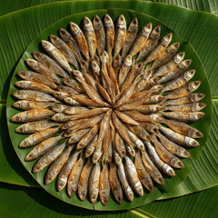 Dried Fish Collection