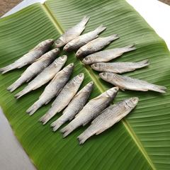 Dried fish pieces on banana leaf for Meta ads