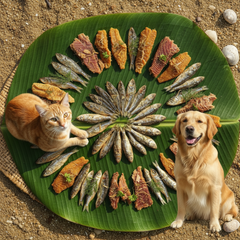 Pet Treats Collection with Pets