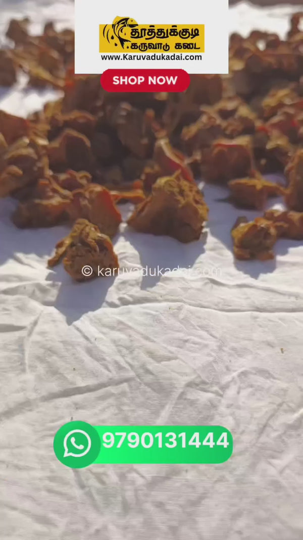 thoothukudi_karuvadukadai-DGlcgB0TRBy.mp4