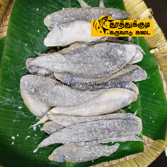 Sole fish (நங்கு/அடல்)