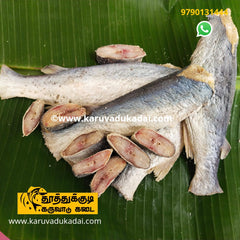 Catfish (கெளுத்தி/தேடு)