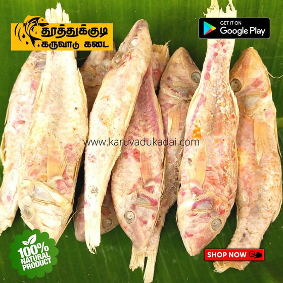 Red snapper (நகரை)